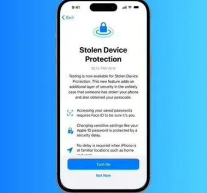 龙沙苹果授权维修店分享被盗设备保护功能开启方法 