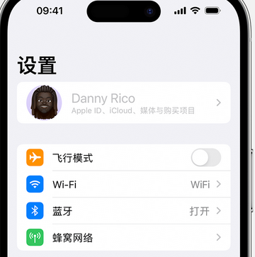 龙沙appleID维修服务iPhone设置中Apple ID显示为灰色无法使用