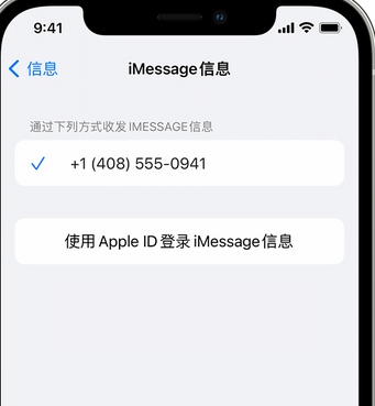 龙沙apple维修iPhone上无法正常发送iMessage信息