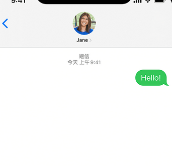 龙沙apple维修iPhone上无法正常发送iMessage信息