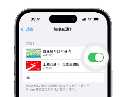 龙沙apple维修点分享iPhone上更换Apple Pay快捷交通卡手绘卡面 