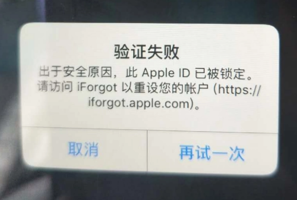 龙沙iPhone维修分享iPhone上正常登录或使用AppleID怎么办 