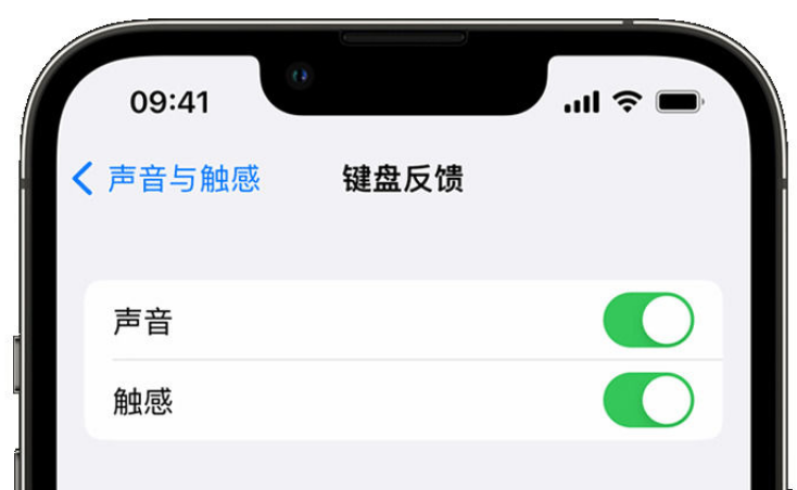 龙沙苹果手机维修分享iPhone 14触感键盘使用方法 