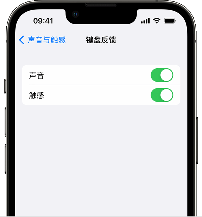 龙沙苹果14维修店分享如何在 iPhone 14 机型中使用触感键盘 