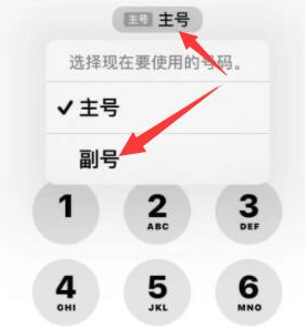 龙沙苹果14维修店分享iPhone 14 Pro Max使用副卡打电话的方法 