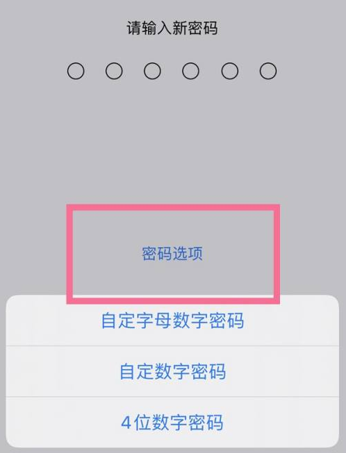 龙沙苹果14维修分享iPhone 14plus设置密码的方法 