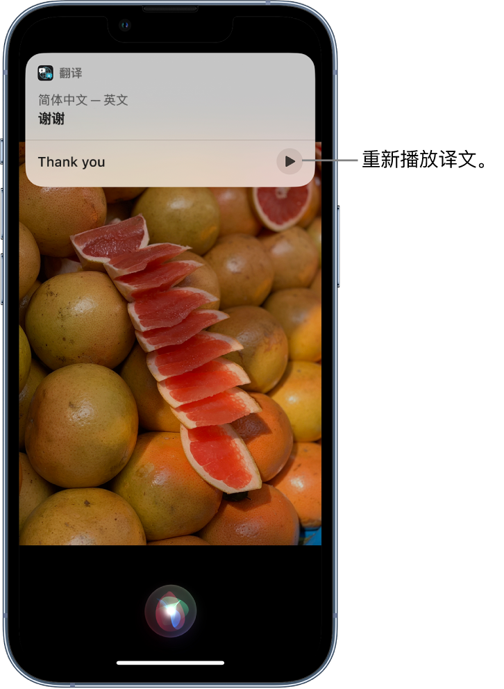 龙沙苹果14维修分享 iPhone 14 机型中使用 Siri：了解 Siri 能帮你做什么 