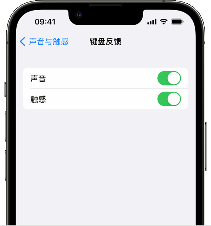 龙沙苹果14维修分享iPhone 14 系列机型如何开启键盘声音或触感反馈 