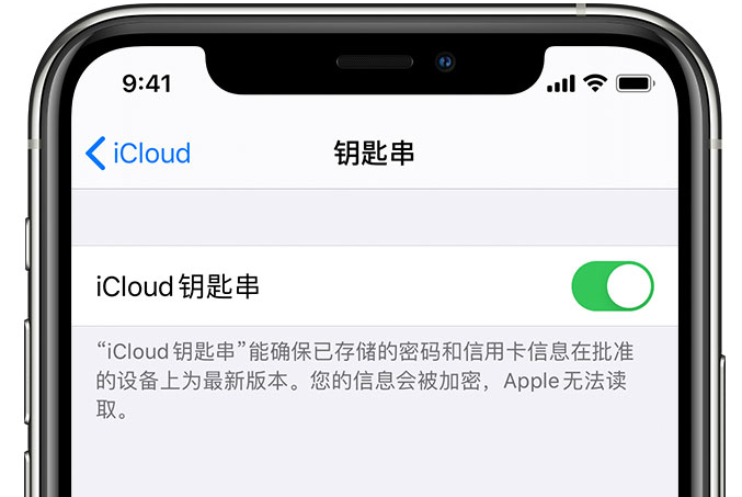 龙沙苹果手机维修分享在 iPhone 上开启 iCloud 钥匙串之后会储存哪些信息 