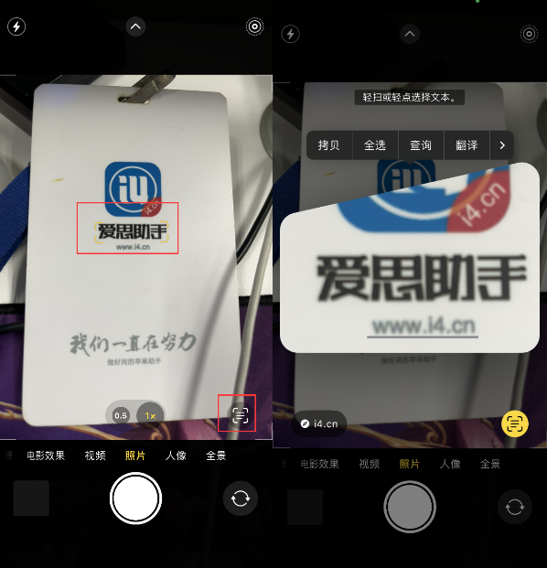 龙沙苹果手机维修分享升级iOS 16后如何通过相机翻译文本 