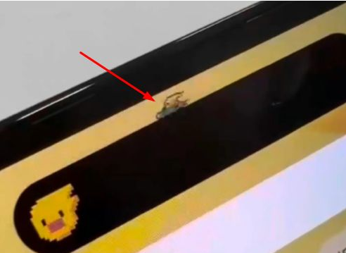 龙沙苹果14维修分享iPhone 14 Pro Max灵动岛怎么养宠物 