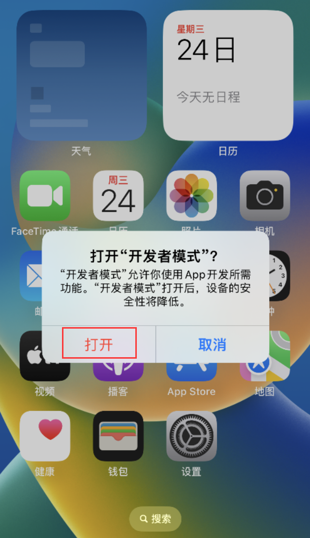龙沙苹果手机维修分享如何打开开发者模式 