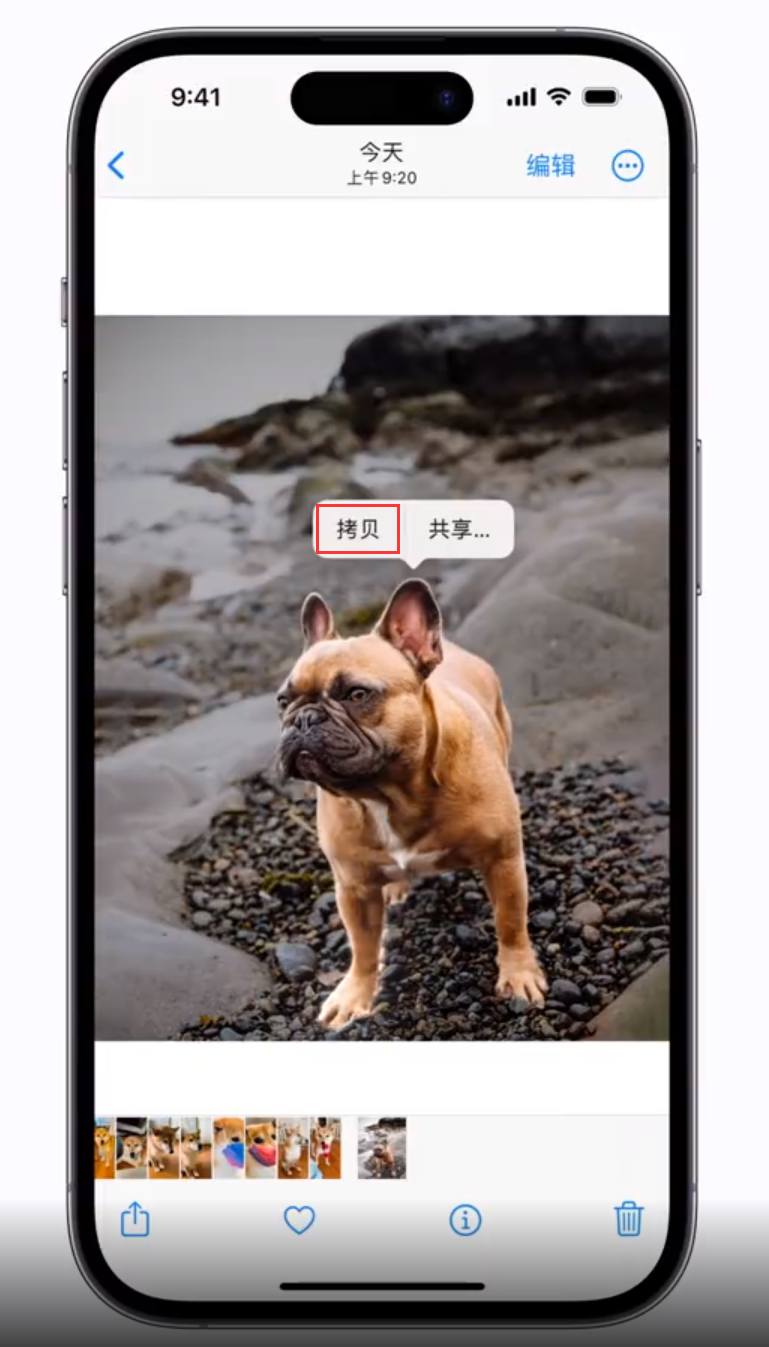 龙沙苹果手机维修分享 iOS 16 自带一键抠图功能 