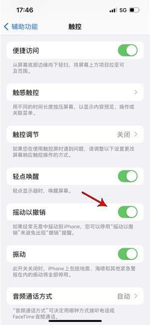 龙沙苹果手机维修分享iPhone手机如何设置摇一摇删除文字 