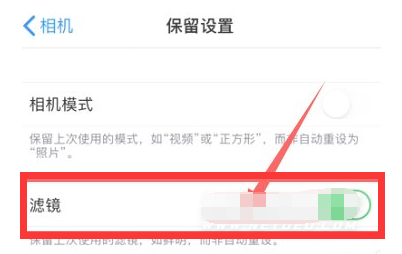 龙沙苹果13维修分享iPhone13拍照有绿点是怎么回事 