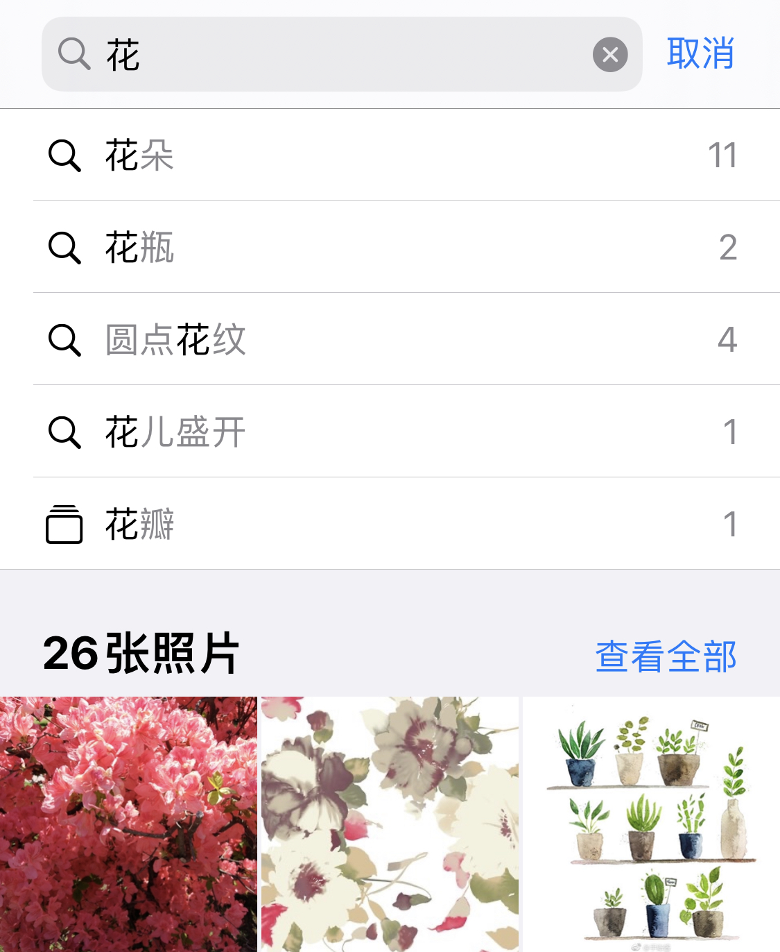龙沙苹果手机维修分享iPhone 小技巧 
