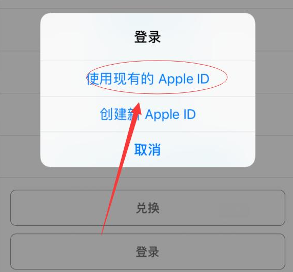 龙沙苹果手机维修分享两台iPhone设备可以同时登录一个Apple ID吗 