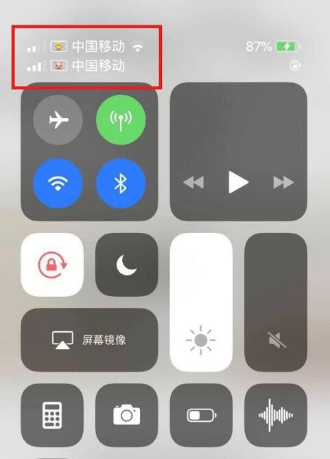 龙沙苹果手机维修分享为 iPhone 12 双卡设置标签 