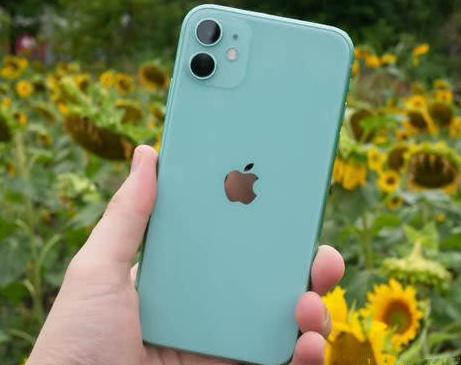 龙沙苹果维修点分享iPhone 11锁屏密码认知与使用科普 